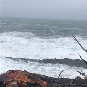 Meet your Posher, Mia